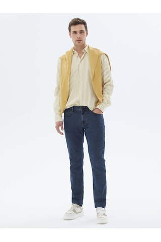 Kip Sarı Çizgili Regular Fit Dokuma Casual Pamuk Gömlek Sarı