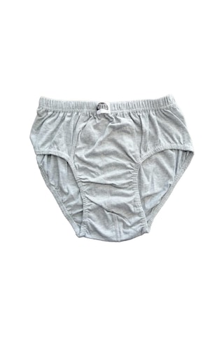 Gümüş Erkek Penye Slip Külot Renkli