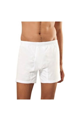 2 Adet-Doliche Patentli Erkek Pamuklu Gümüş Teknolojili Boxer
