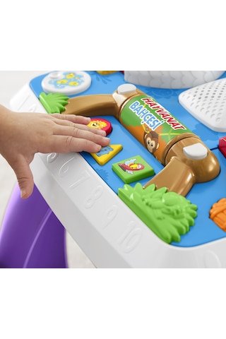Fisher Price L&L Eğitici Köpekçiğin Aktivite Masası