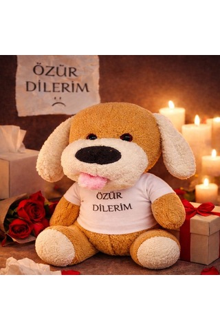 Delux Serisi Arkadaş Hediyesi Masum Hediye Barışma Aracı Özür Dilerim Tişörtlü Peluş Oyuncak Köpek Çok Renkli