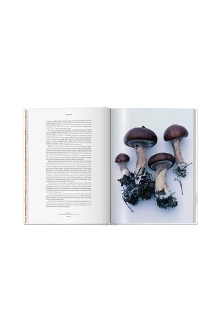 Taschen The Gourmands Mushroom A Collection Of Stories And Recipe