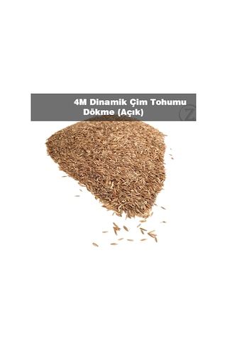 Çim Tohumu 1 KG Dinamik 6M Dayanıklı Çim Tohumu