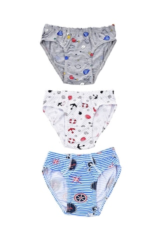 Pemilo Erkek Çocuk 255 Desenli 3'Lü Slip Karışık Renkli (485926318)