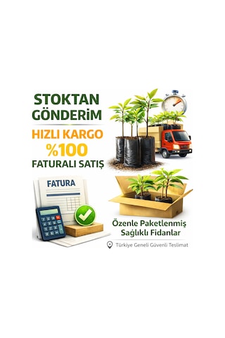 1 Adet Plastik Toprak Dolumu İçin Maşrapa Karışık