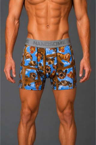 Brem Handsome Hayvanlar Desenli Erkek Boxer Çok Renkli