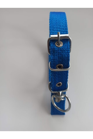 Kozaklı Küçük Irk Köpek Tasması Mavi 50 x 2.5 CM Mavi