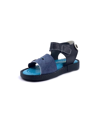 Ayakkabımood Şirin Bebe Ortopedik Mavi Laci Ilk Adım Yazlık Erkek