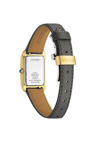 Citizen Eco-drive Ew5622-09p Bordo