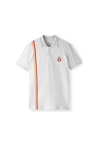 Gsstore Galatasaray Erkek Polo T-shirt E252104 Gri
