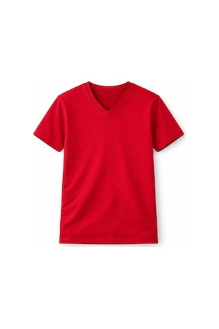 Wear Vexel Genç Erkek Çocuk V Yaka Tişört Model - Bordo Çok Renkli