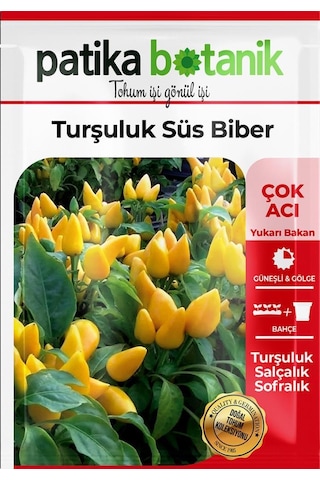 200 Adet Turşuluk Süs Biberi