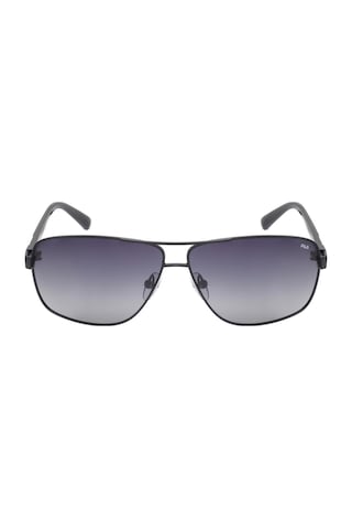 Fila SFI065 62 530P Erkek Güneş Gözlüğü
