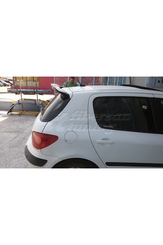 Peugeot 307 Body Kit-fibersan Tuning