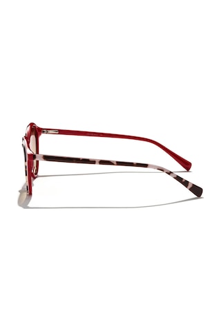 Zen Milano Eyewear Yhp8106-c3 50 Unisex Güneş Gözlüğü Kahverengi