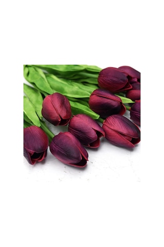 İthal Özel Pink Dolphin Lale Soğanı İri Kafa Özel Lale Soğanı 4 Soğan