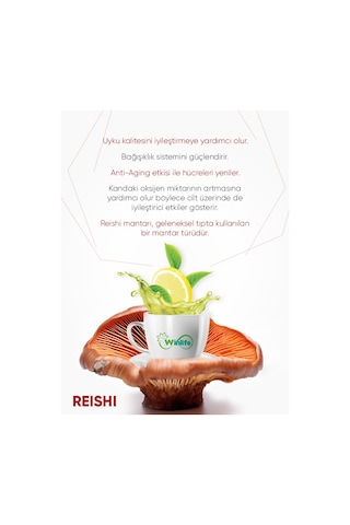Winlife Reishi Winmix Çayı 30 x 1.5 G