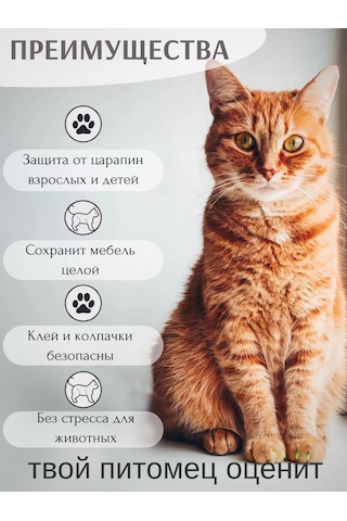 E.lekar' Kedi Tırmık Kesici Tırnak Koruyucuları, Tırnak Koruyucuları 40 Adet S 200242029