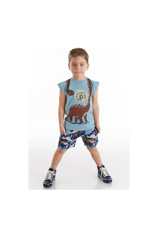 Denokids Titan Yaz Erkek Çocuk Şort Takım Çok Renkli