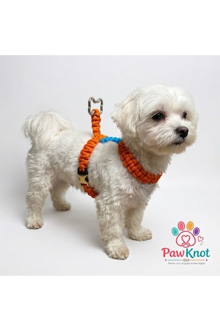 Minibone Köpek/kedi Geöğüs Tasması Paracord El Yapımı Mavi - Turuncu