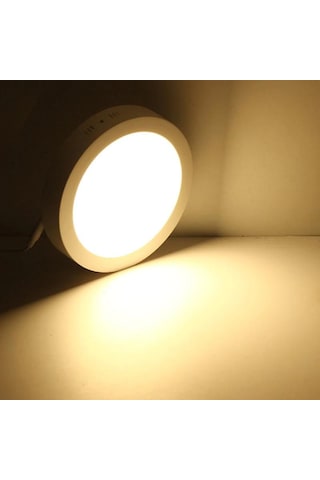 Sıvaüstü Led Yuvarlak Günışığı Tavan Aydınlatma Armatür 24W Beyaz