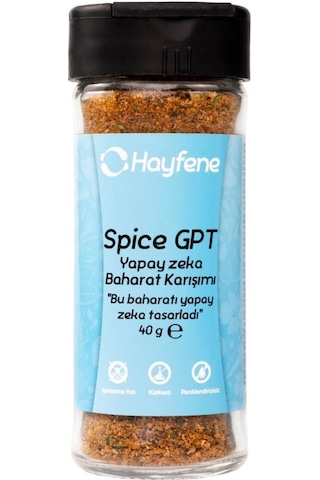 Hayfene Spice Gpt Yapay Zeka Baharat Karışımı 40 G