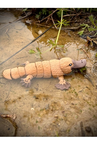 Ornitorenk Oyuncak 3d Hareketli Organik Vip Model- Büyük Boy