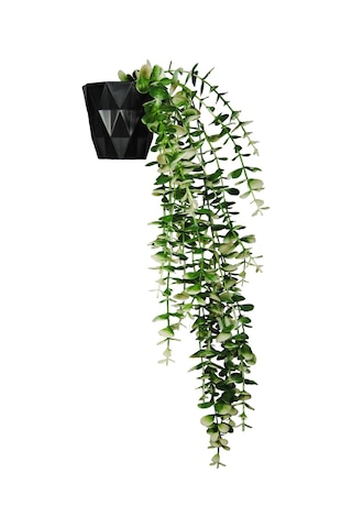 Özel Tasarım İki Renkli Elmas Siyah Saksılı Beyaz - Yeşil Okaliptus Sarkıtı Beyaz-Yeşil