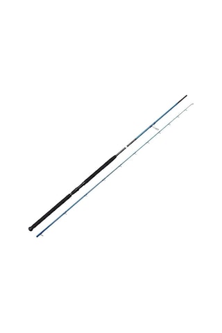 Savage Gear SGS2 Shore Jigging 9'6''/2.90m 20-80 gr 2 Parça