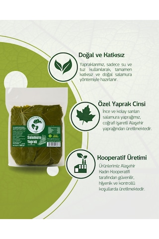 Alaşehir Kadın Kooperatifi Vakumlu Salamura Yaprak 500 G