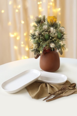 Beyaz Noyan Kayık Tabak 28 Cm 2 Adet 006