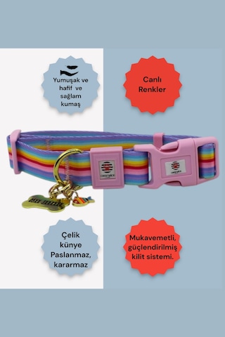 Köpek Tasma Seti Kişiye Özel Künyeli İsimli Tasma Çzgpmb Pembe