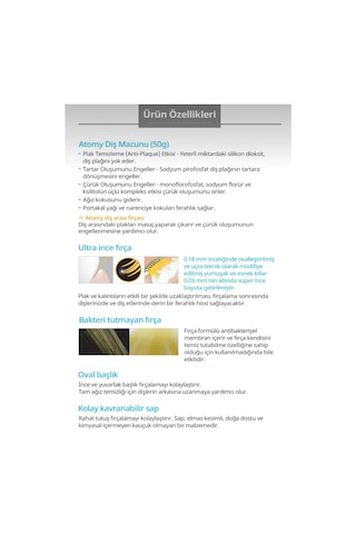 Atomy Propolis Diş Macunu 50 G + Diş Fırçası