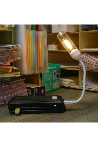 Usb Ledli Rustik Ampul - Florasan Tasarım Masa Lambası