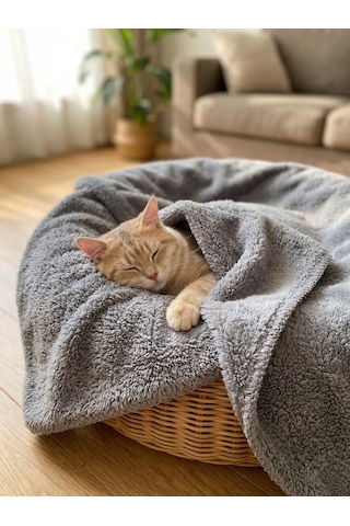 Brt Pet Ultra Yumuşak Welsoft Kedi Köpek Battaniyesi 100x120