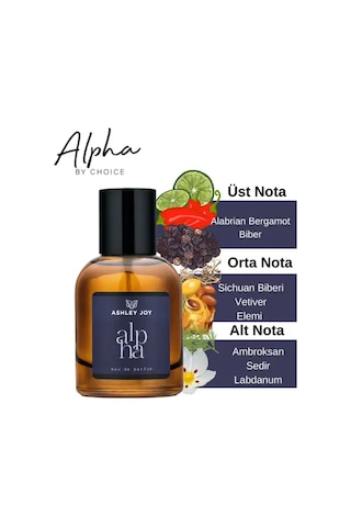 Ashley Joy Alpha Erkek Parfüm Edp 100 ML