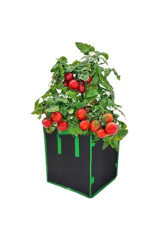 Ulzyvf Yetiştirme Ve Torbası Taşıma Şekilli Sebze Nefes Kulplu, Katlanabilir, Kare İçin Galon Çiçekler Bitki Alabilir 5 - Jx