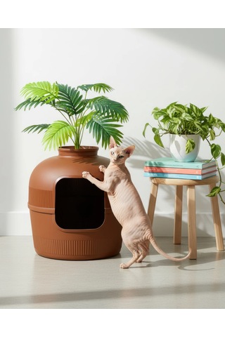 Reyo Dekorapet Dekoratif Kedi Tuvaleti Kahverengi