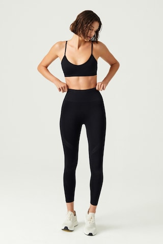 Los Ojos X Melodi Siyah Yüksek Bel Seamless Spor Tayt Adorn Siyah