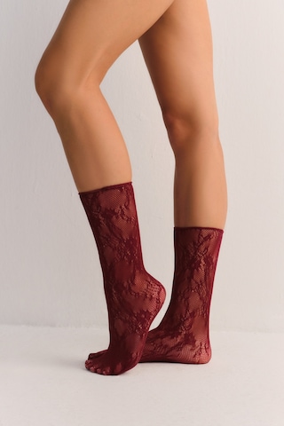 Suwen Fishnet Dantelli Soket Çorap Sc3052020 Bordo