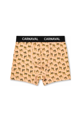 Carnaval Socks Carnaval Wild Orbit Erkek Boxer 3'lü Set Çoklu