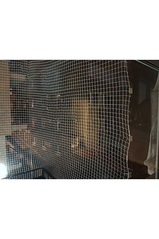 Kedi Flesi 2,50 X 3 Metre Kuş Önleme Ağı İp Halat Kanca Dubel Sık Çok Renkli