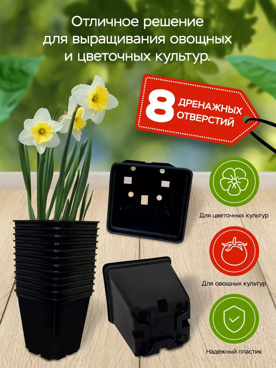 Angora Fide Ve Çiçekler İçin Tablalı Saksı Seti 138751881