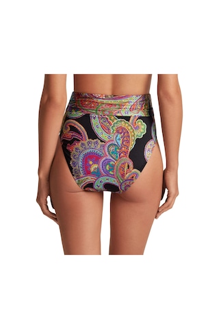Polo Ralph Lauren Kadın Bikini Altı 20524257-mlt Çok Renkli