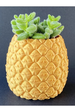 Storeşahin 3d Baskı Ananas Formlu Saksı Ve Kalemlik Kabartma Dokulu Sukulent Saksısı Masaüstü Bitki Ve Kalem Tutucu Shn0720