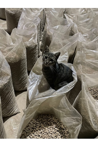 Kedi Kumu 20kg %100 Çam Peleti 6mm Odun Peleti 20kg Çuval