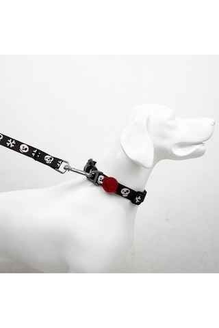 Boo Boyun Tasmaları Ayarlanabilir Dayanıklı ve Konforlu Köpek Desenli Boyun Tasması S