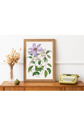 Purple Flower Çerçevesiz Poster "Botanica Serisi"