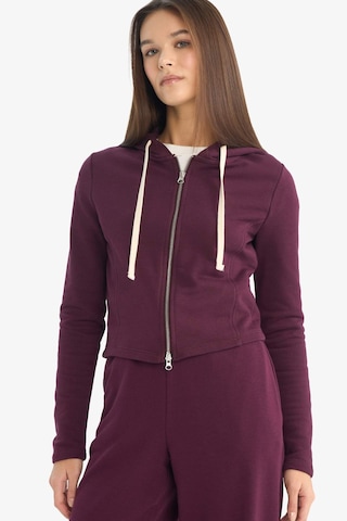 Defacto Oversize Kapüşonlu Fermuarlı Sweatshirt G6384ax25wnbr171 Bordo-br171