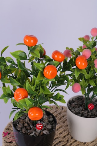 Yapay Çiçek Sitesi Plastik Saksıda Yapay Mini Mandalina & Şeftali Tanzimi 2 Li Set 33 Cm Çok Renkli